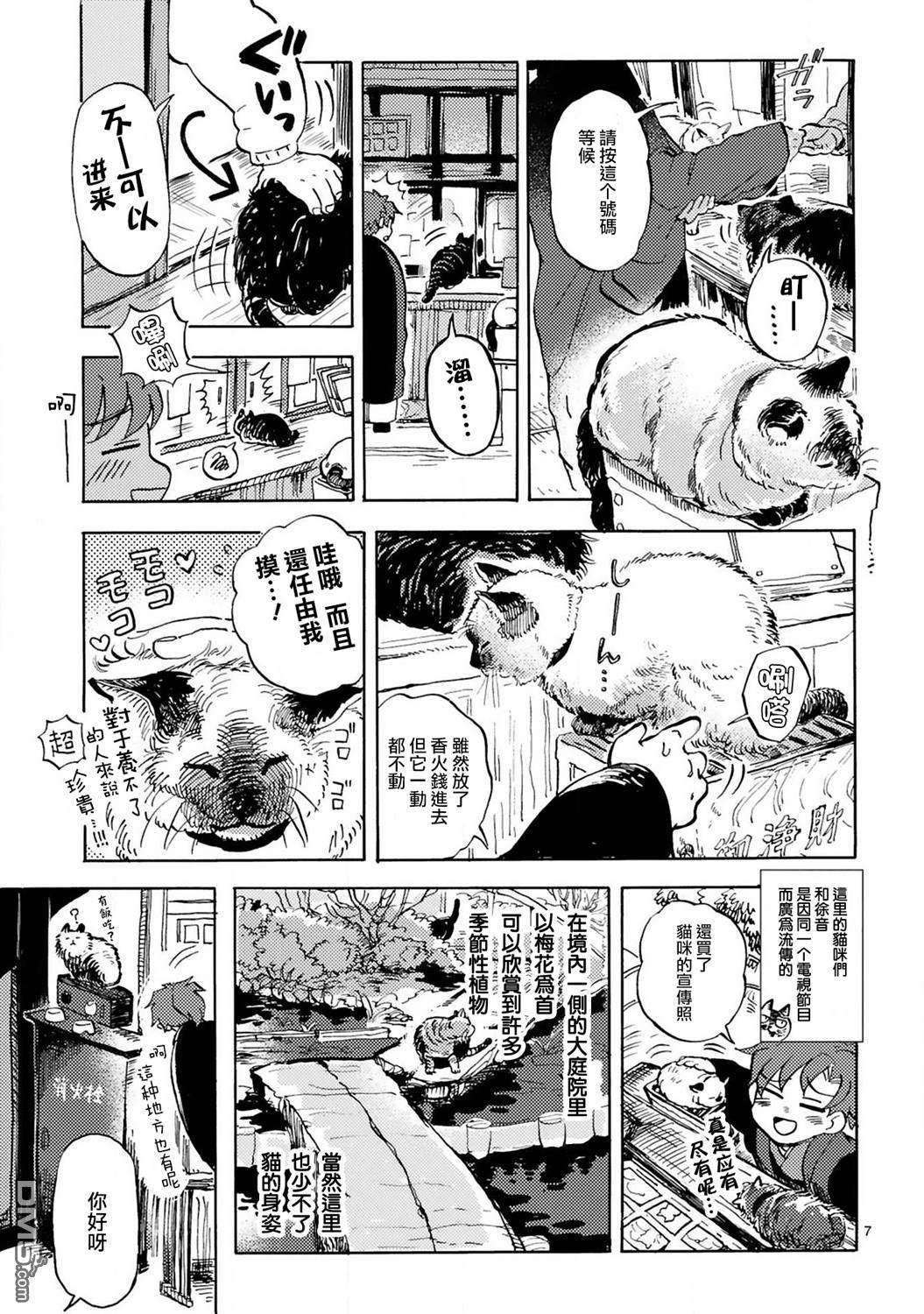全世猫第6话