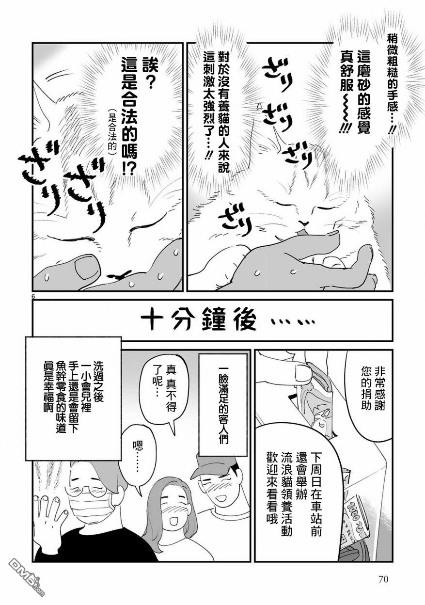 全世猫第7话