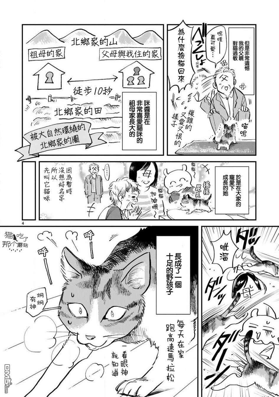 全世猫第8话