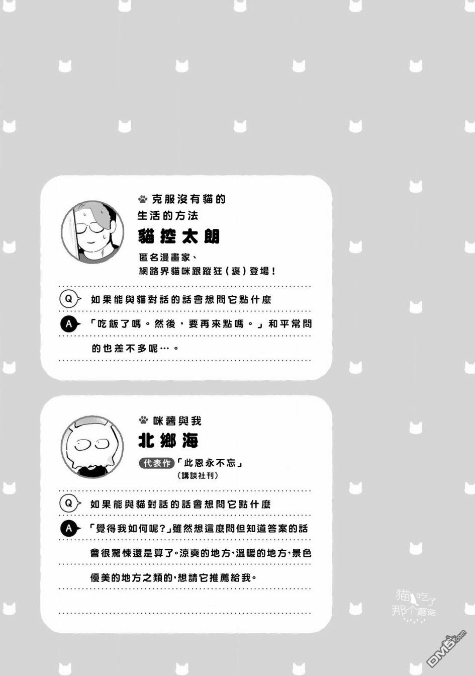 全世猫第8话
