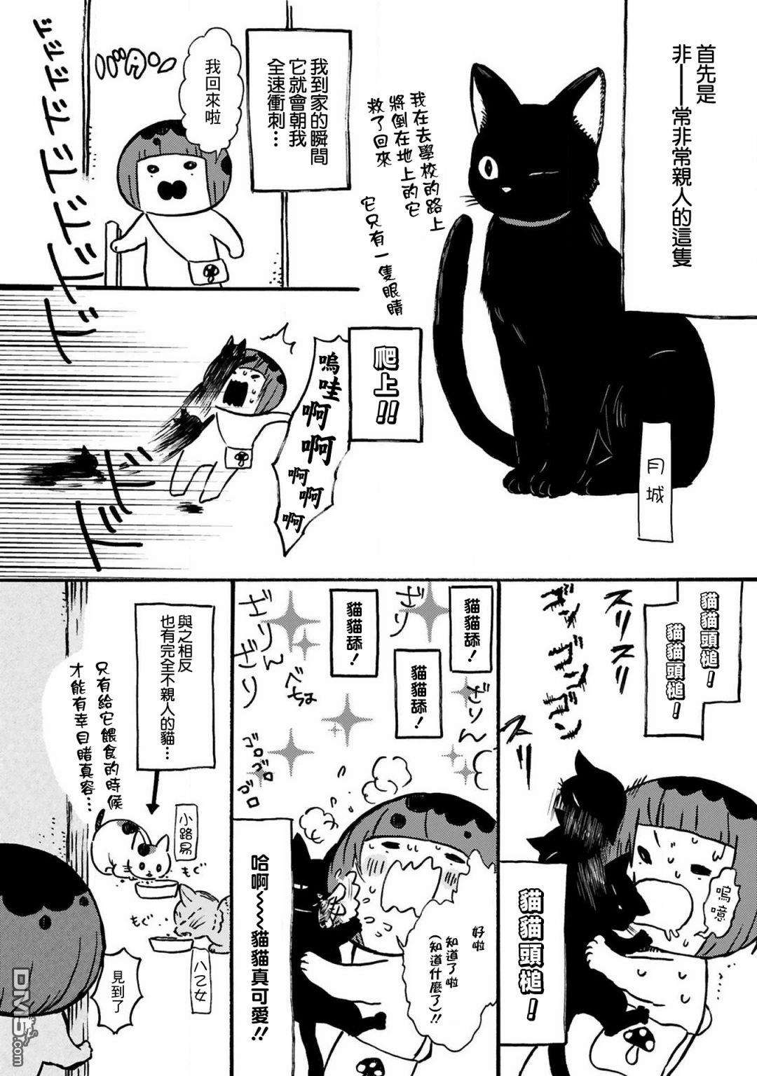 全世猫第9话