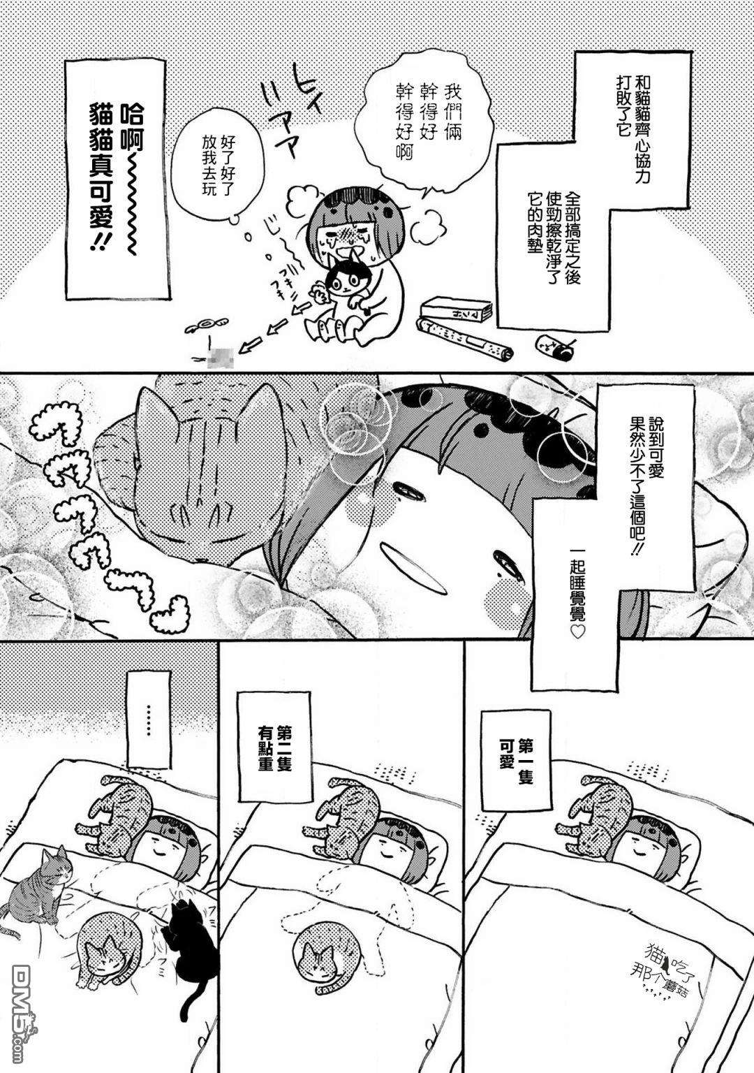 全世猫第9话