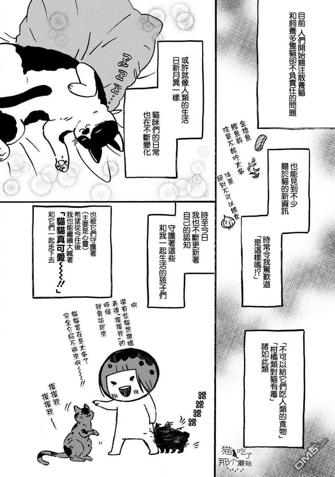 全世猫第9话