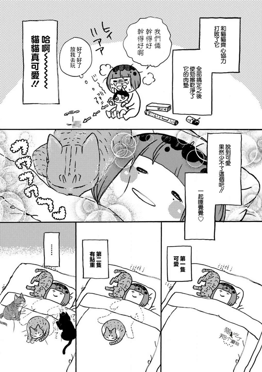 全世猫第09话