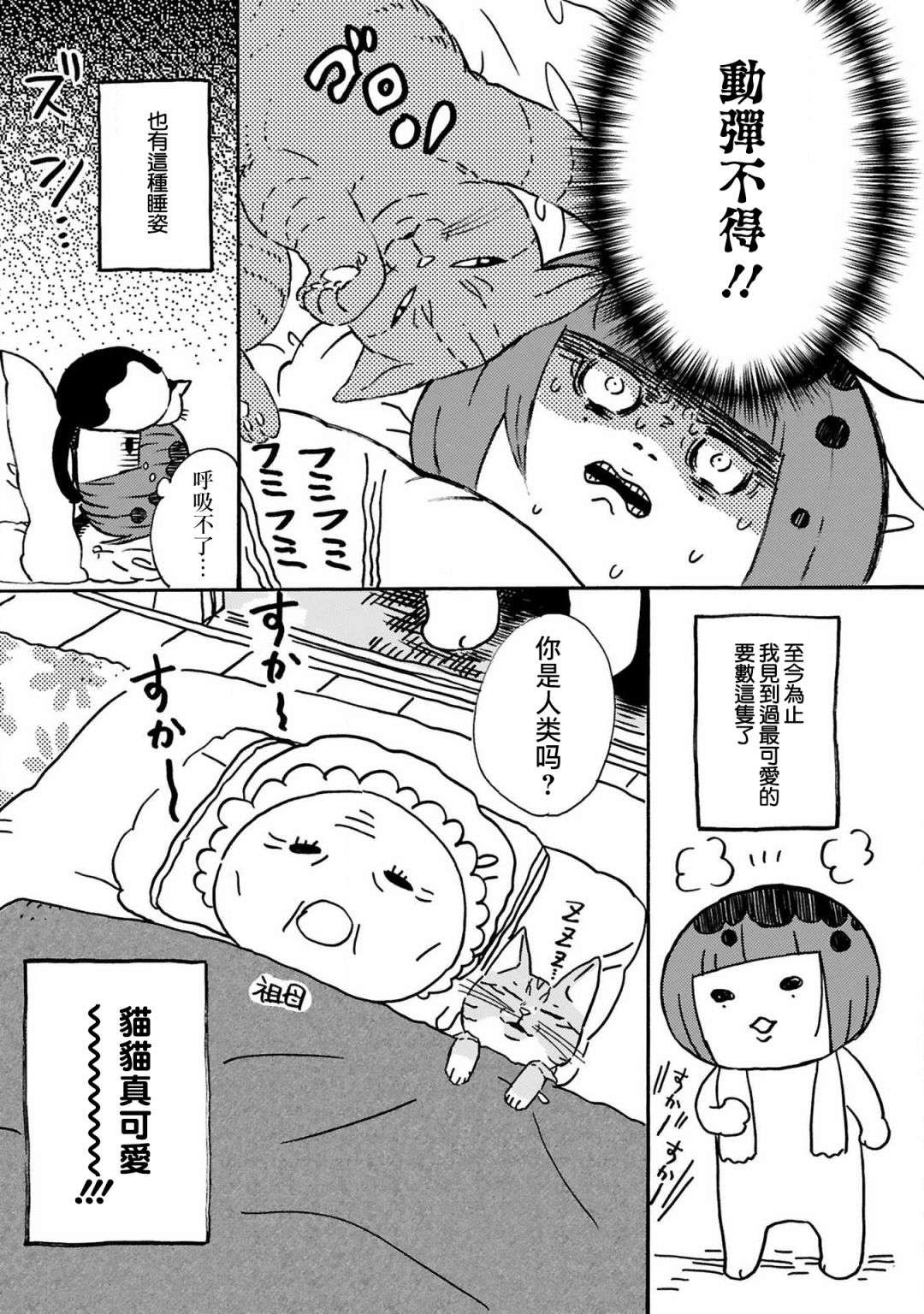 全世猫第09话
