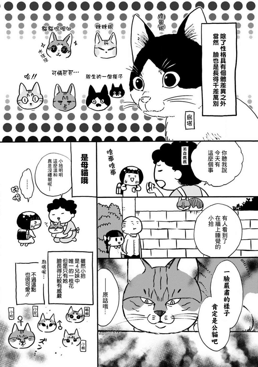 全世猫第09话