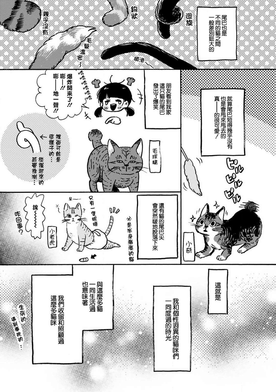 全世猫第09话