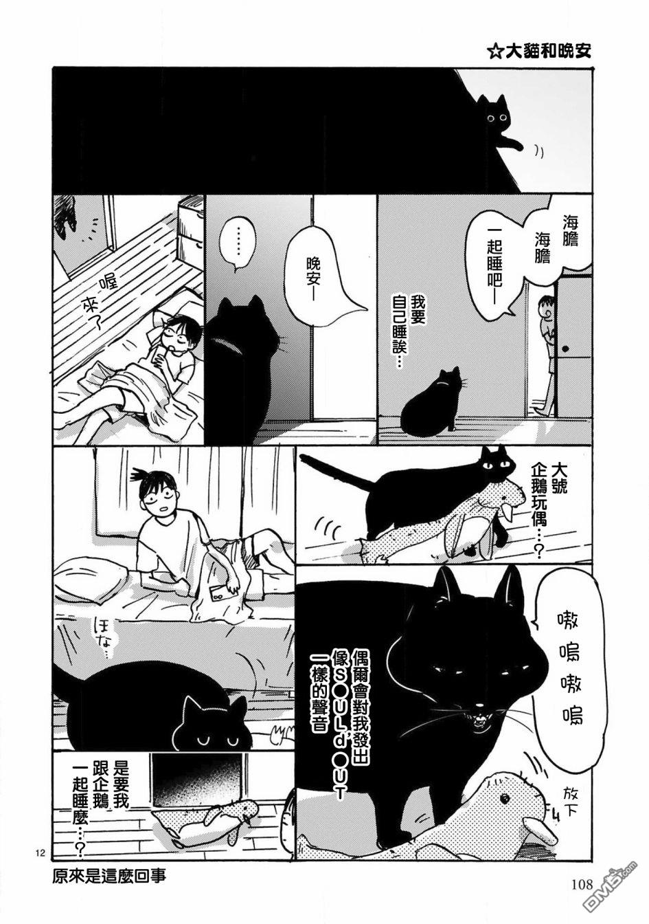 全世猫第10话