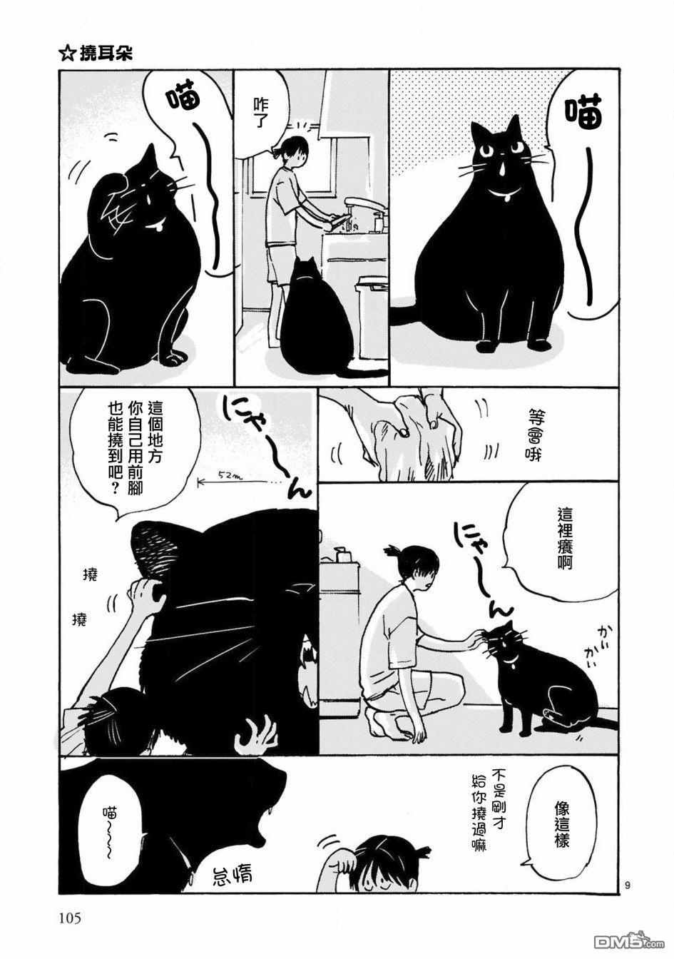 全世猫第10话