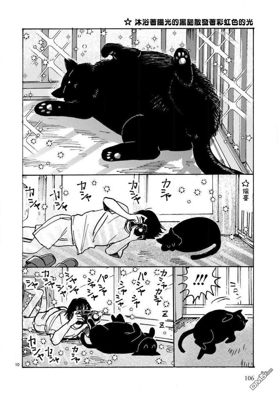 全世猫第10话
