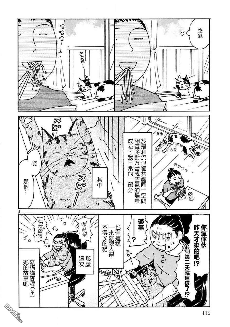 全世猫第12话