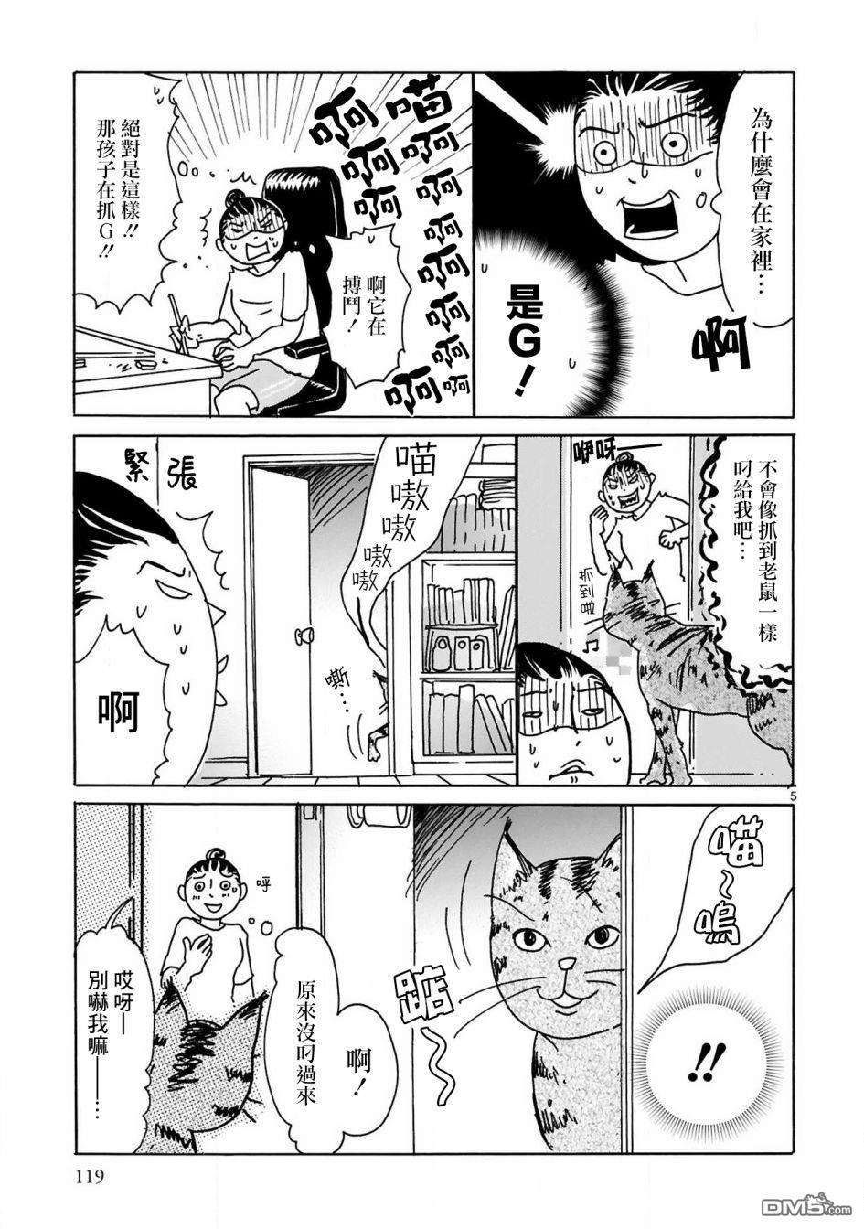 全世猫第12话