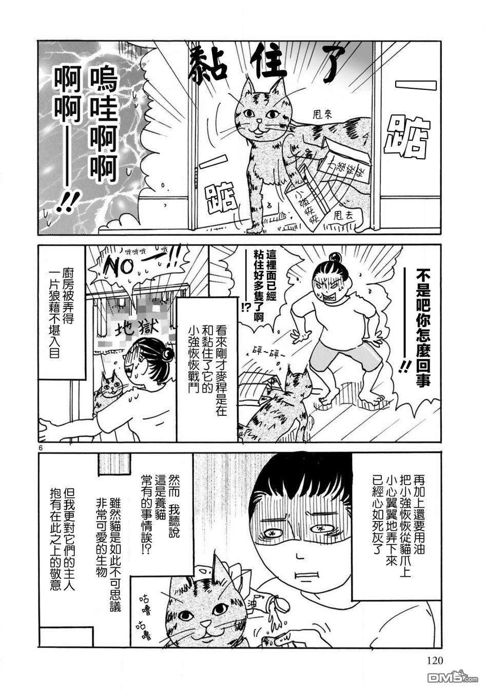全世猫第12话