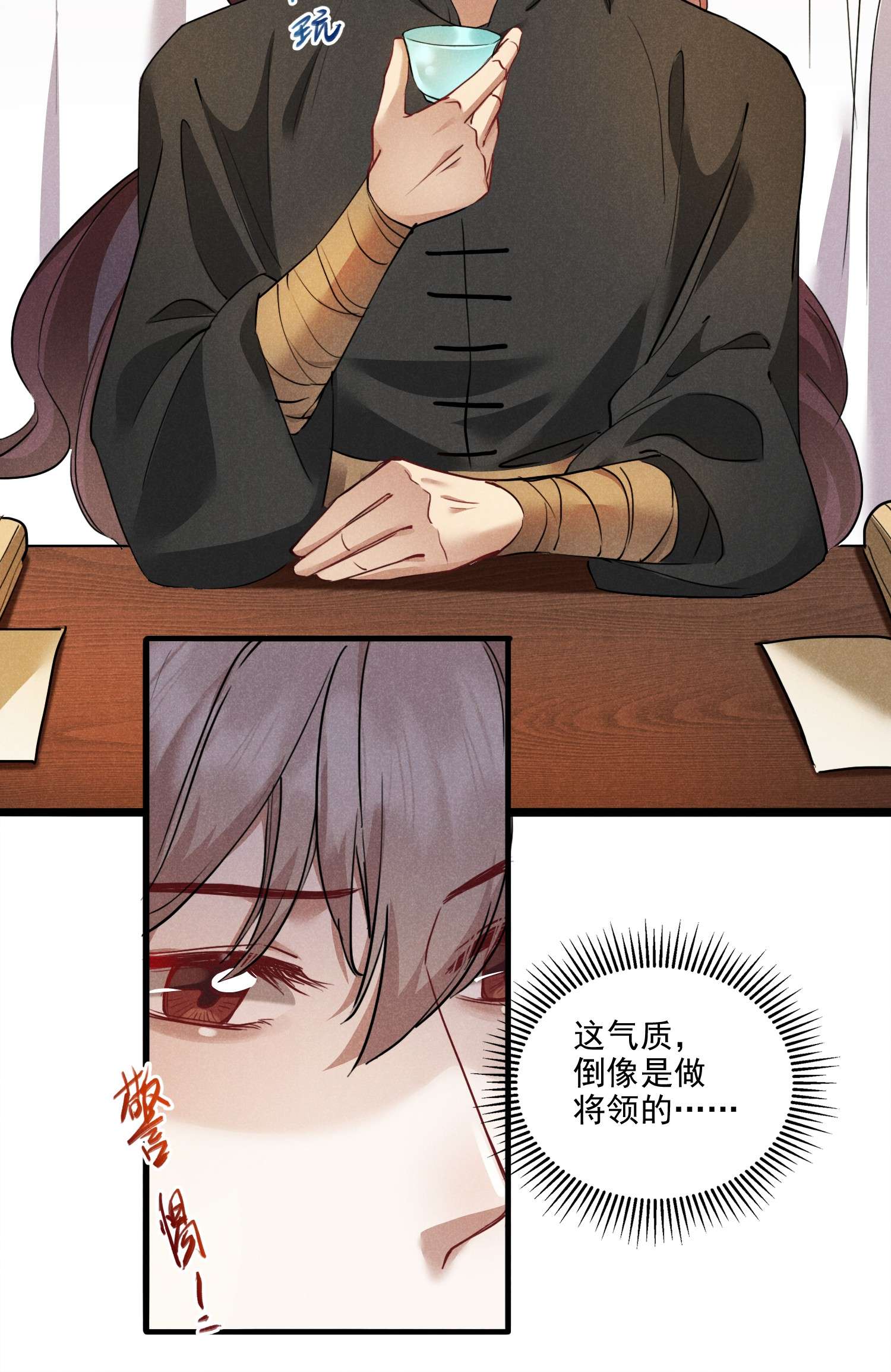 我与将军共山河011 不速之客