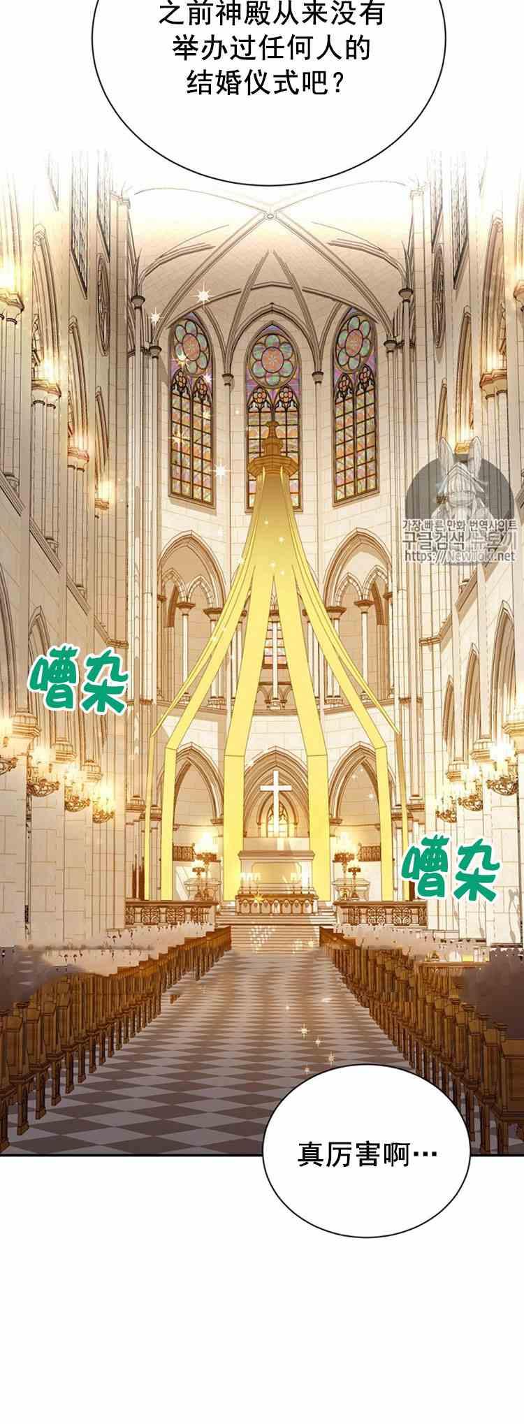 透明的公爵夫人二十四话 婚礼