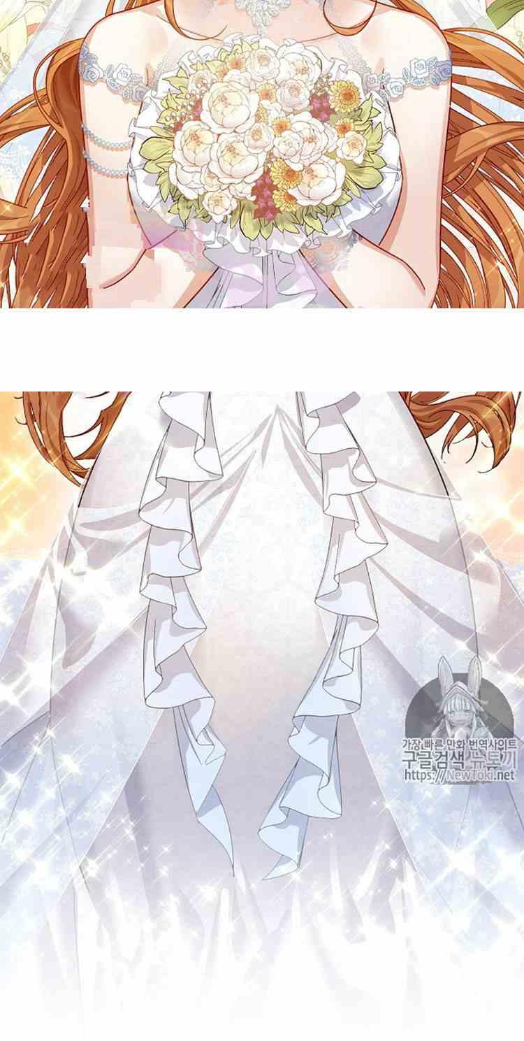 透明的公爵夫人二十四话 婚礼
