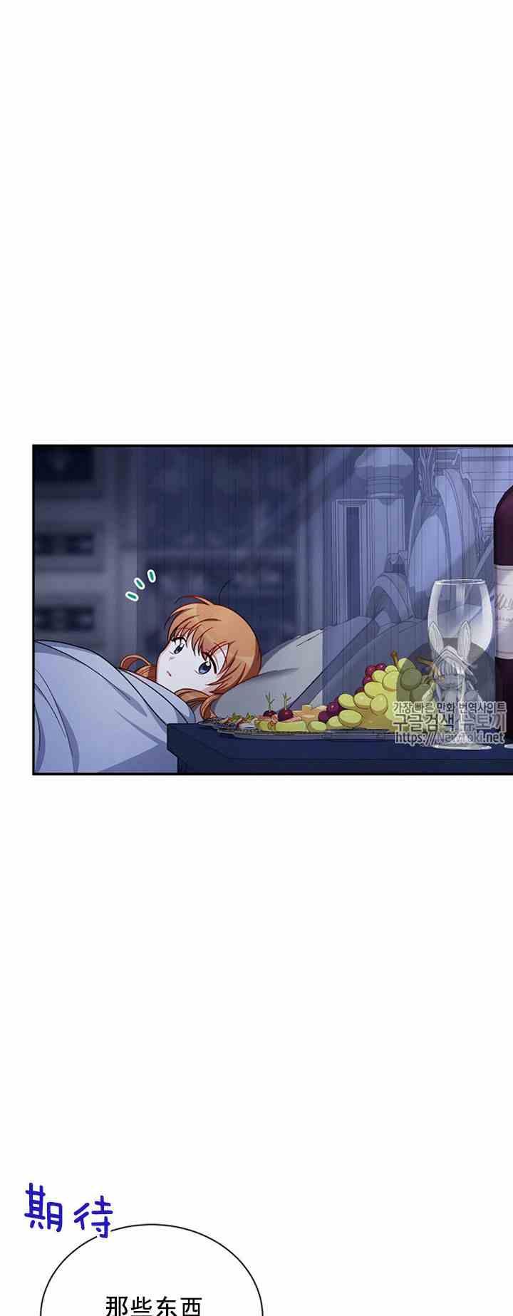 透明的公爵夫人二十五话 新婚之夜