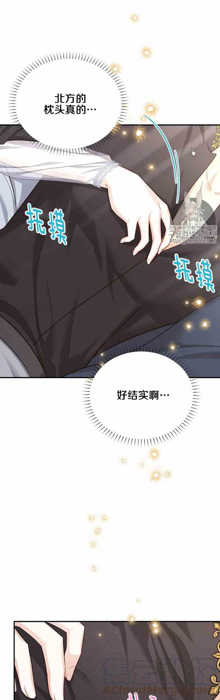 透明的公爵夫人二十五话 新婚之夜