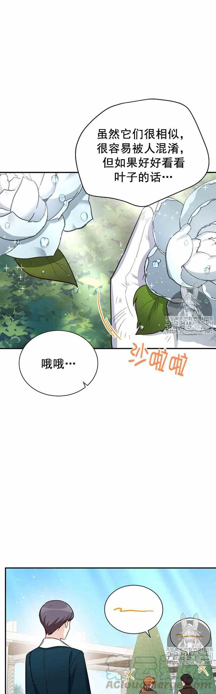 透明的公爵夫人二十六话 令人误解的评价