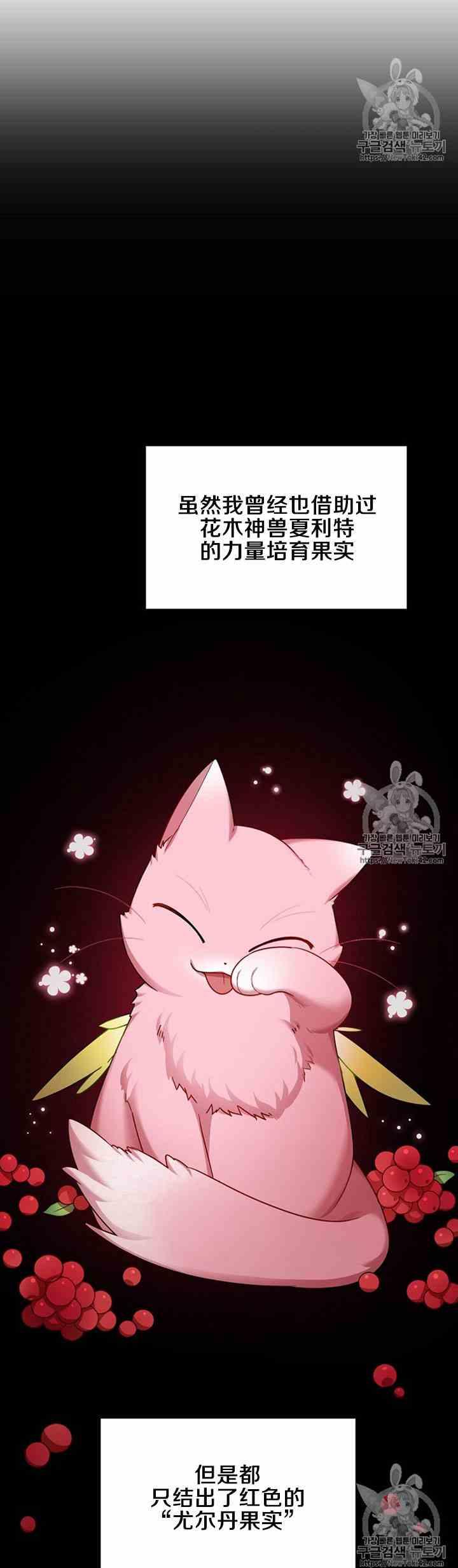 透明的公爵夫人二十七话 基里丹果实