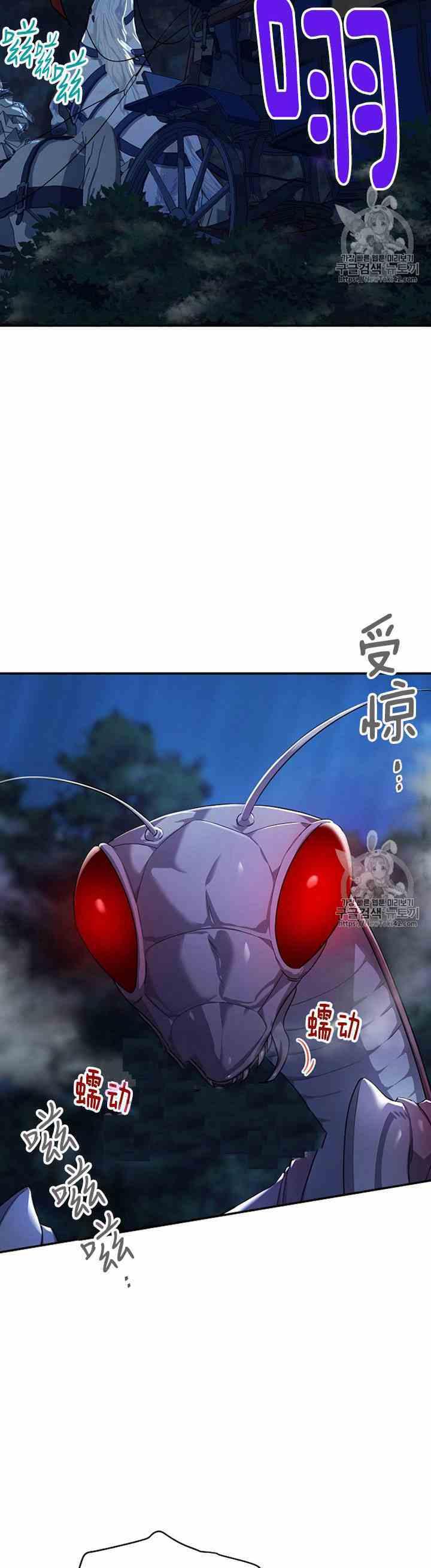 透明的公爵夫人二十九话 夜袭