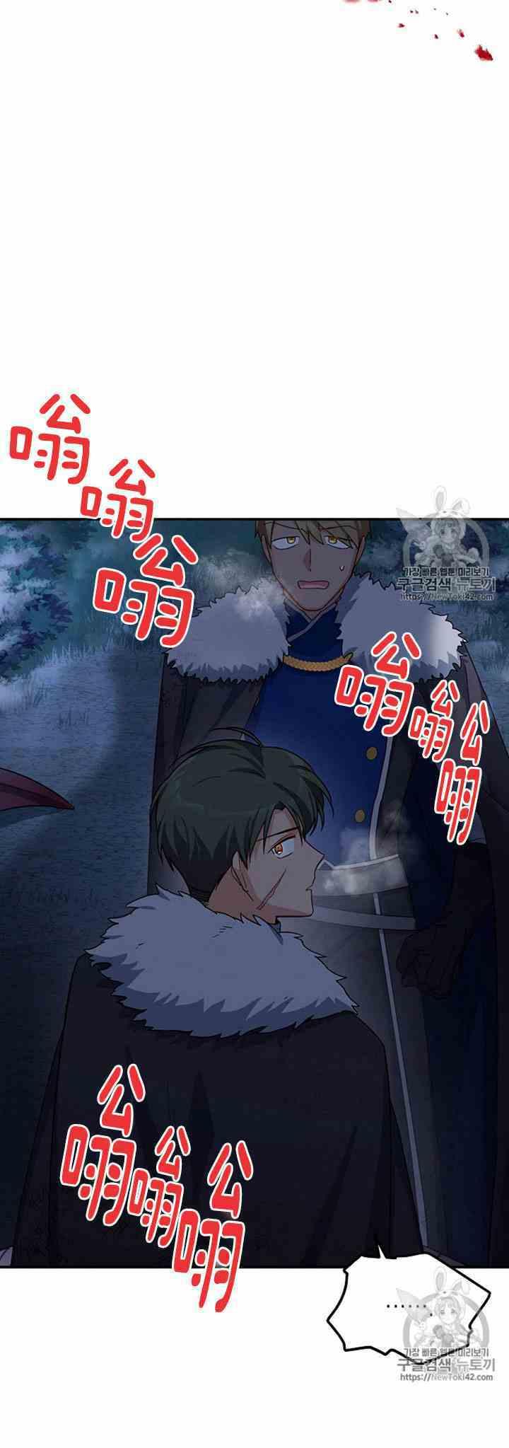 透明的公爵夫人二十九话 夜袭