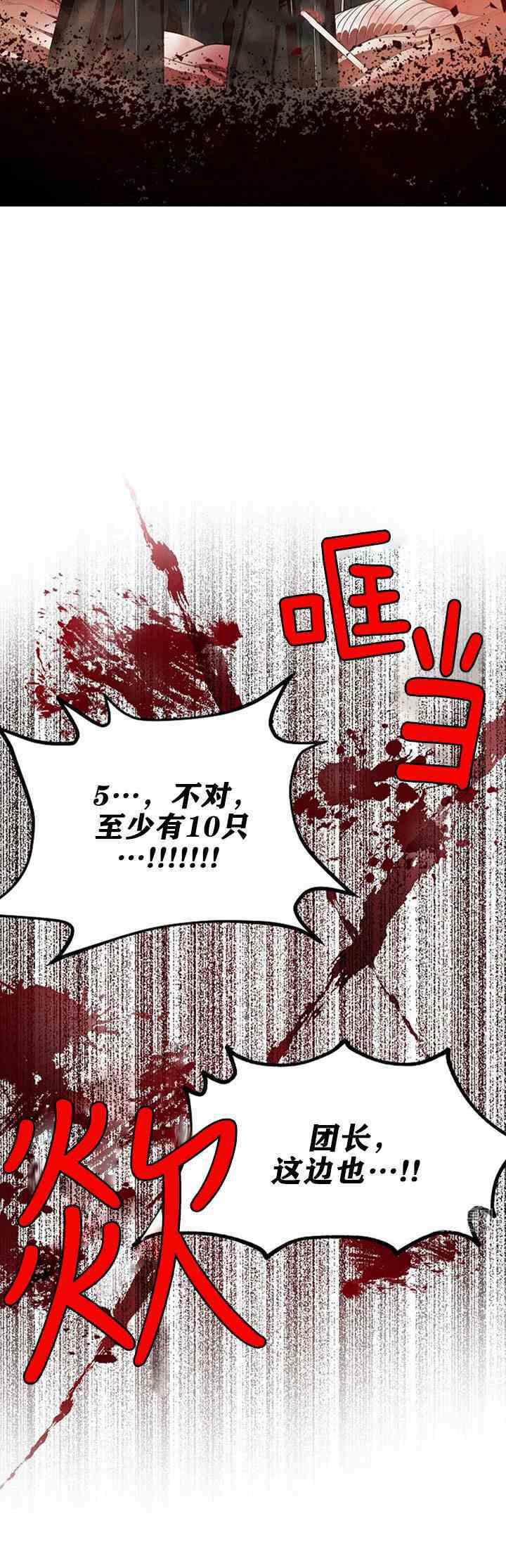 透明的公爵夫人二十九话 夜袭