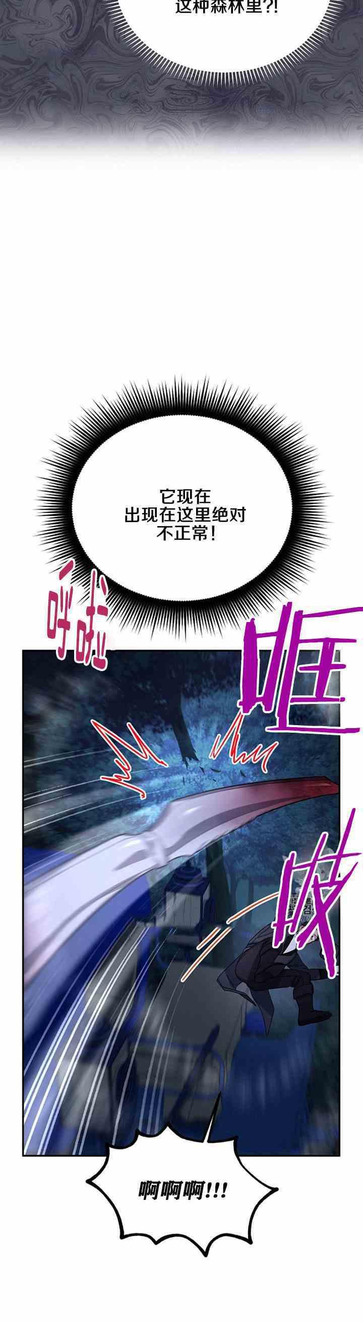 透明的公爵夫人二十九话 夜袭