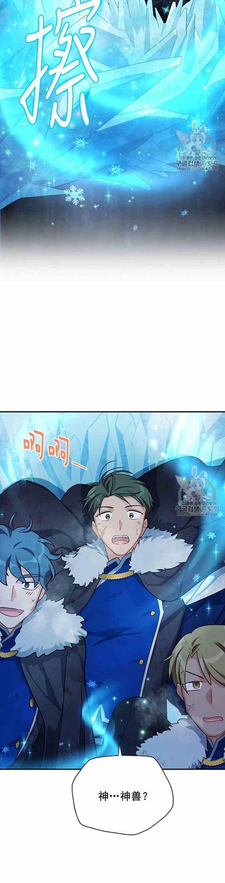 透明的公爵夫人二十九话 夜袭