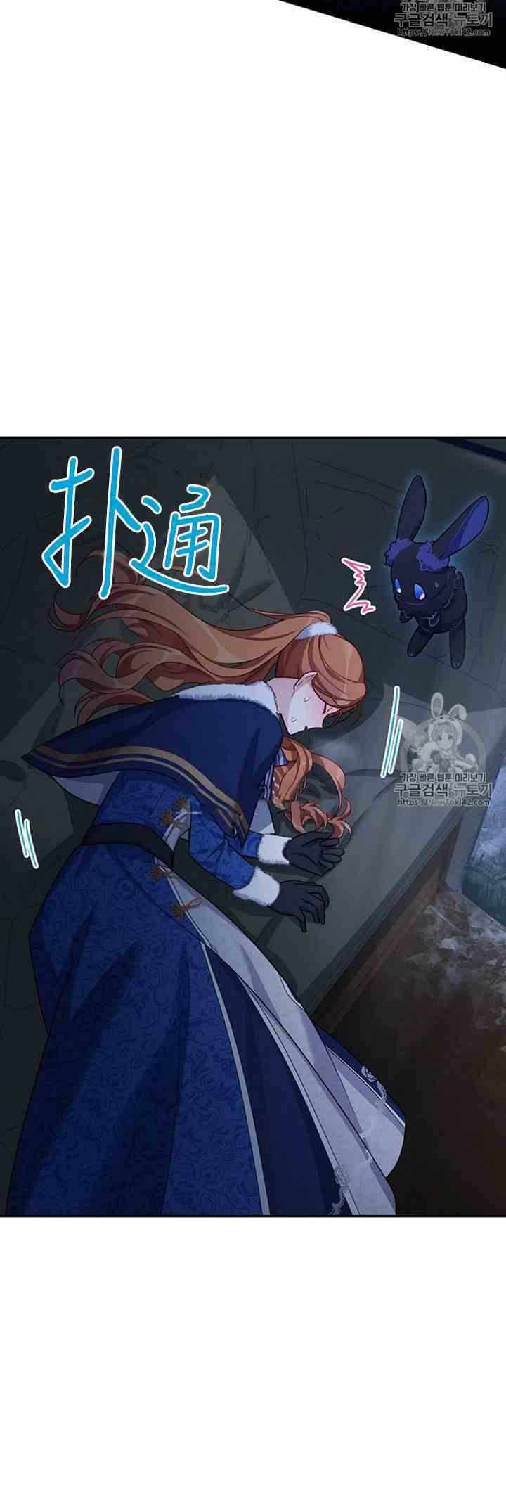 透明的公爵夫人二十九话 夜袭