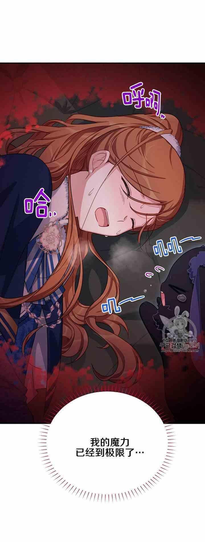 透明的公爵夫人二十九话 夜袭