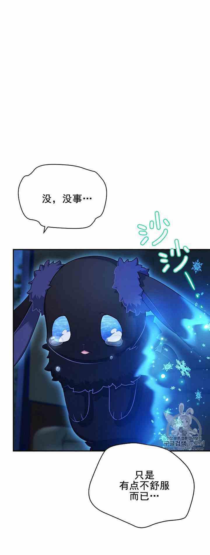 透明的公爵夫人二十九话 夜袭
