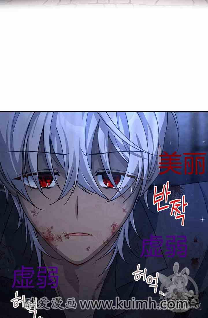 透明的公爵夫人三十六话 黎明的到来