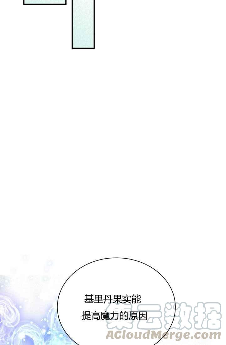 透明的公爵夫人37话 保护他的武器