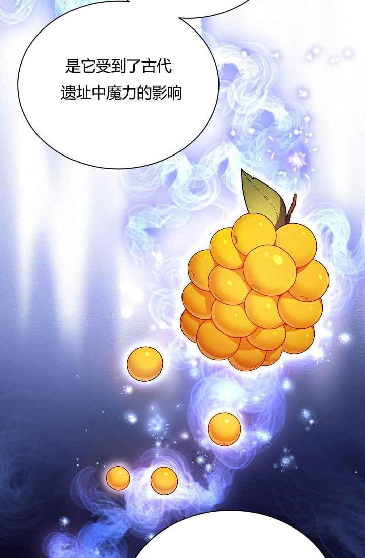 透明的公爵夫人37话 保护他的武器