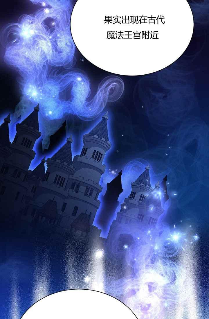 透明的公爵夫人37话 保护他的武器