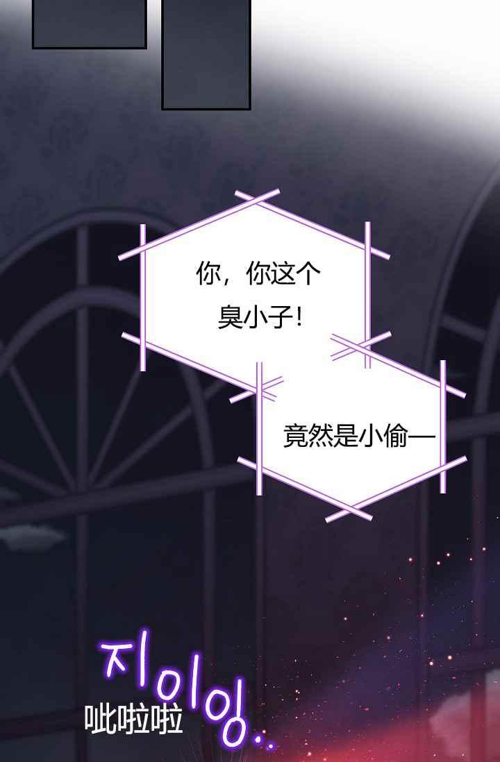 透明的公爵夫人37话 保护他的武器