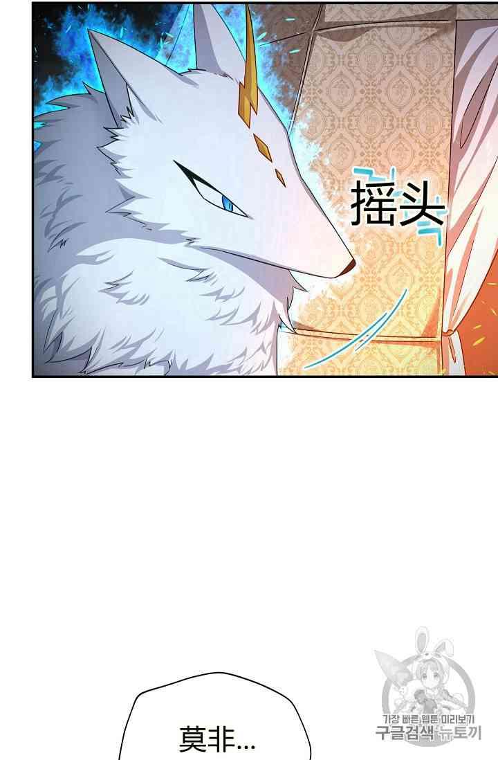 透明的公爵夫人40话