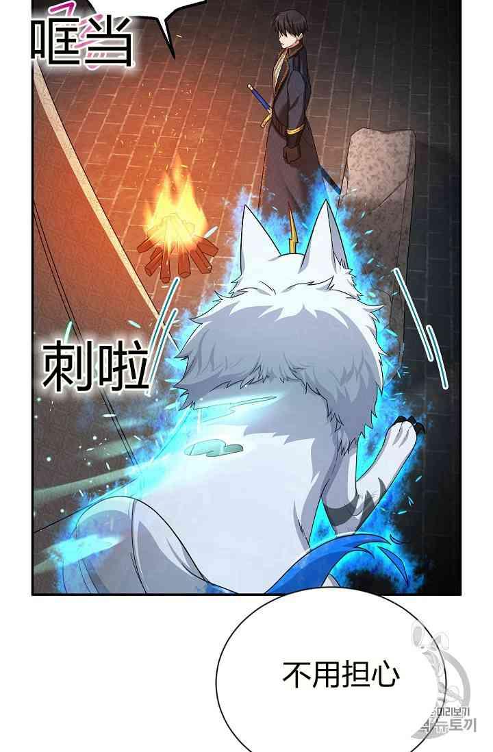 透明的公爵夫人40话
