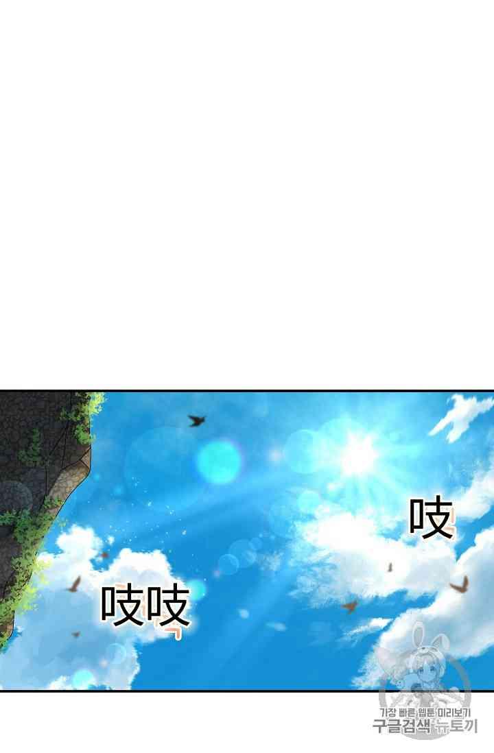透明的公爵夫人40话