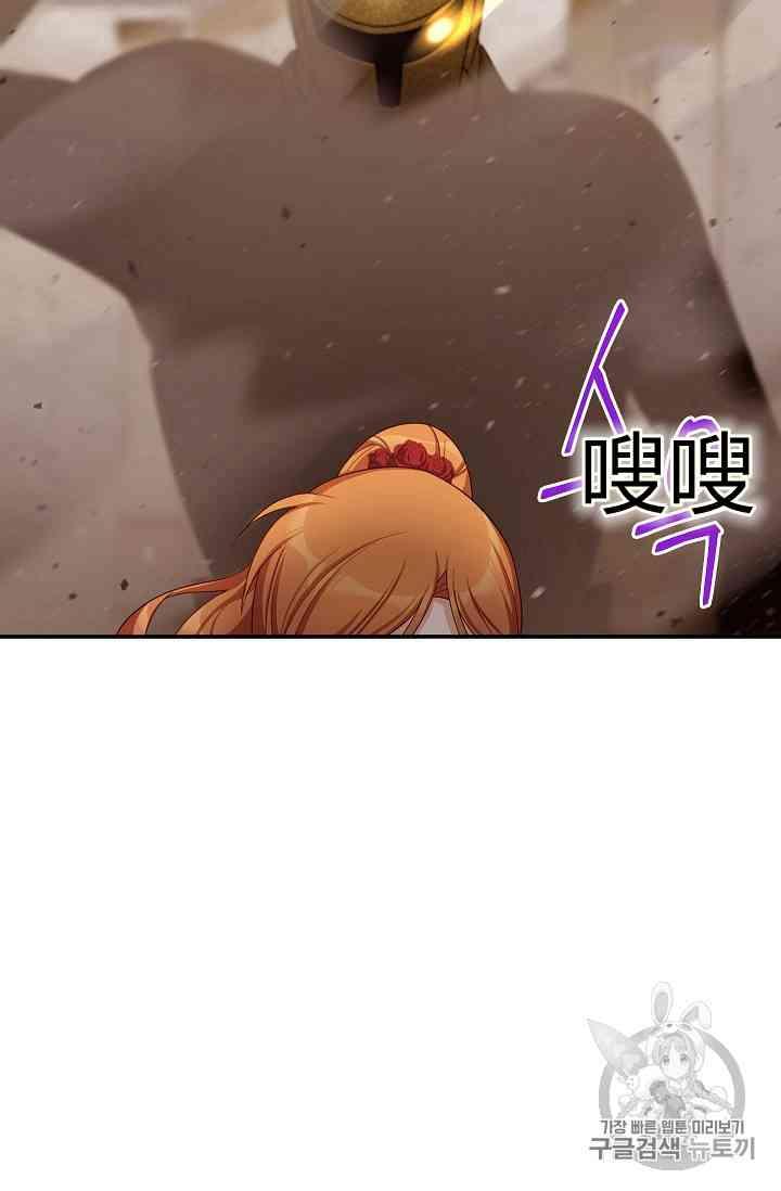 透明的公爵夫人40话