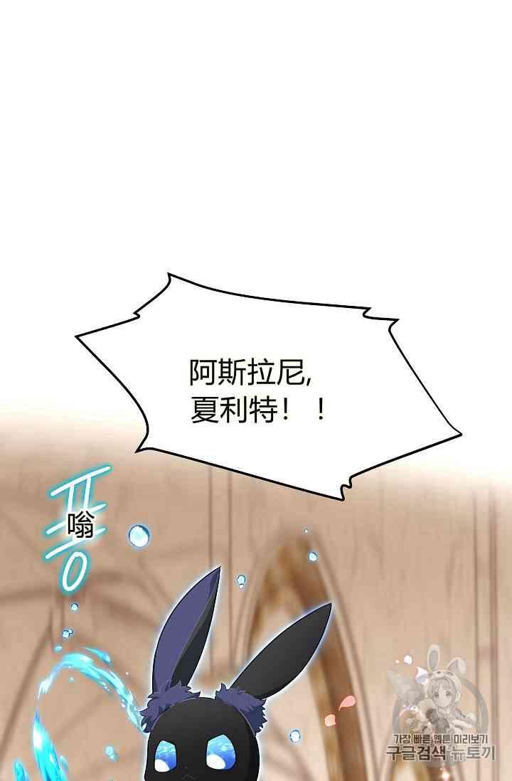 透明的公爵夫人40话