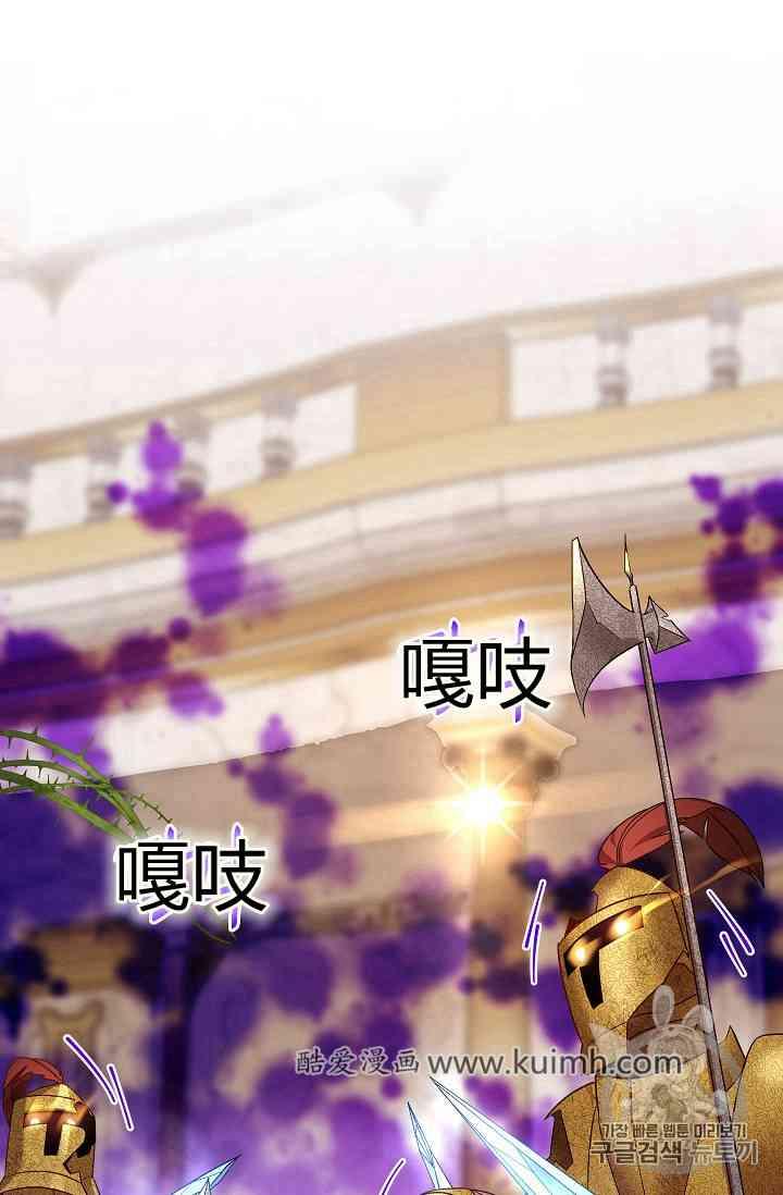 透明的公爵夫人40话