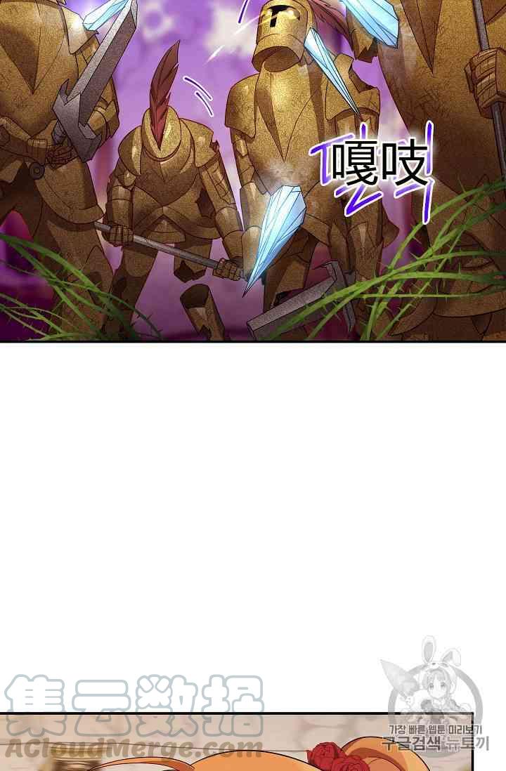 透明的公爵夫人40话