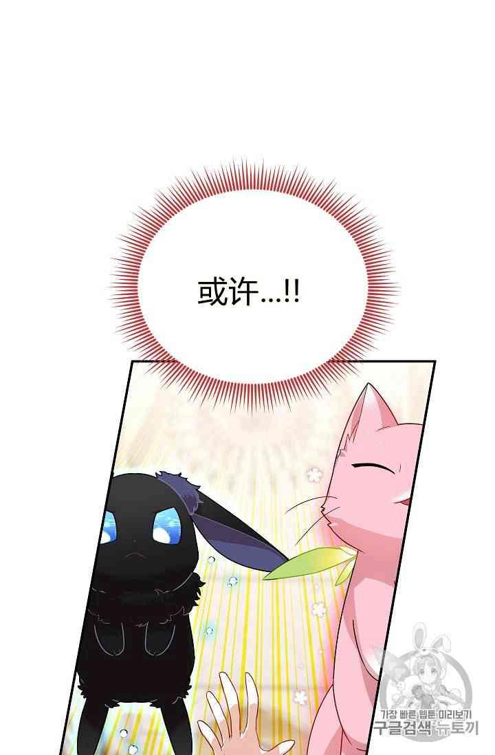 透明的公爵夫人40话