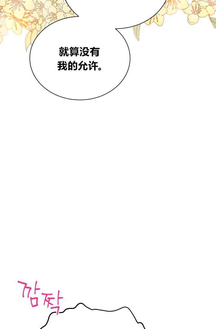 透明的公爵夫人43话