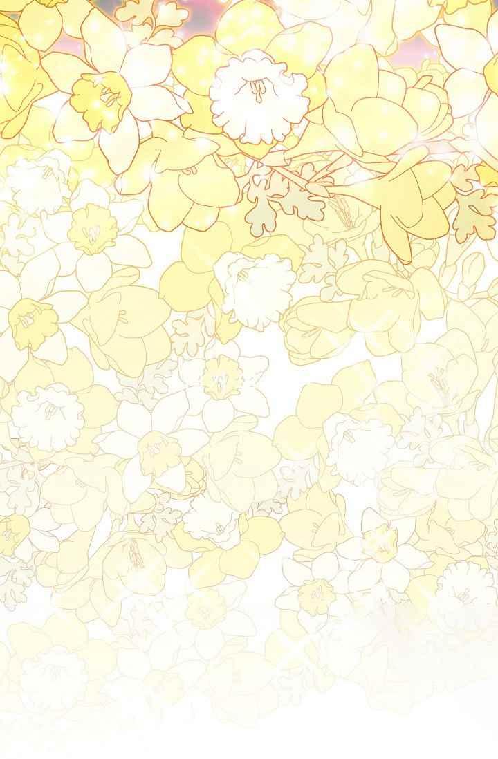 透明的公爵夫人43话