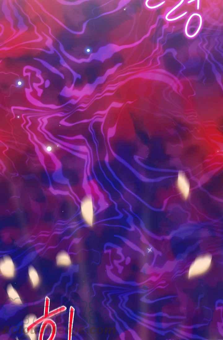 透明的公爵夫人44话