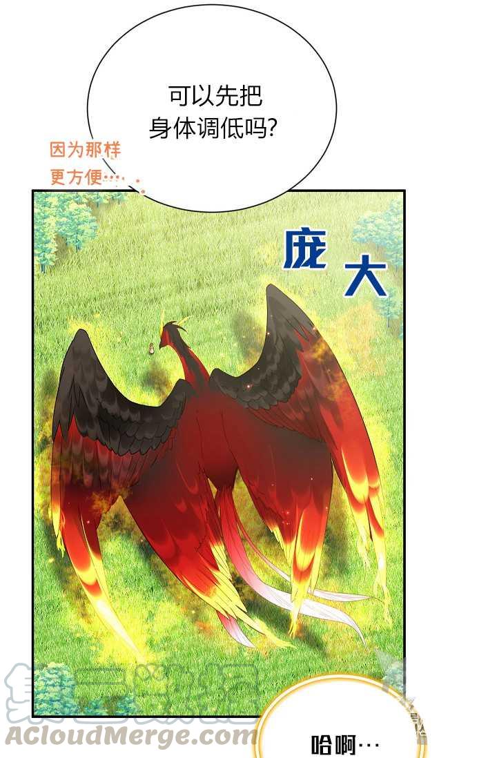 透明的公爵夫人46话