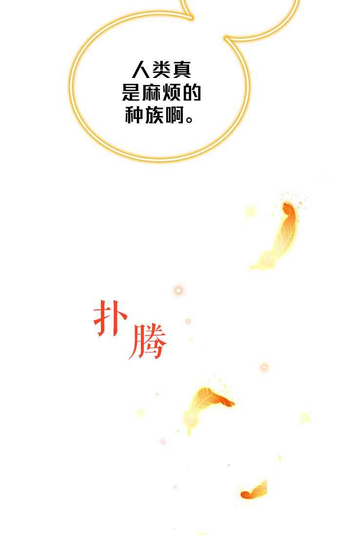 透明的公爵夫人46话